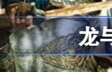 龙与地下城片尾彩蛋是什么 龙与地下城片尾还有彩蛋吗