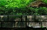 《神之天平》 Steam新史低60元 好评如潮