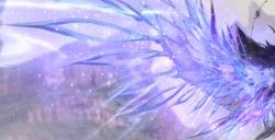 丹霞夹明月华星出羽间《天下手游》双色羽翼大荒罕见!