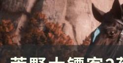 《荒野大镖客2》荷兰温血马位置在哪 荷兰温血马位置详情