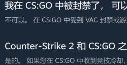 V社表示在《CS:GO》被封禁的账号在《CS2》中也不能玩