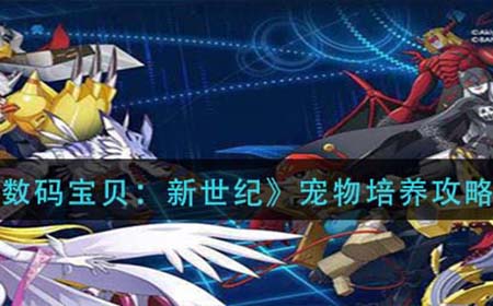 数码宝贝新世纪宠物怎么培养  宠物培养攻略