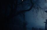 《DEATHWATCHERS》7月13日Steam抢测 合作恐怖探索
