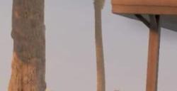 新《房产达人2》预告片展示深度沙盒模式