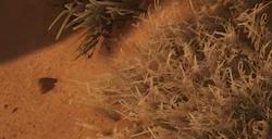 《最后纪元》dot伤害是怎么结算的介绍