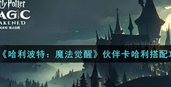 哈利波特魔法觉醒伙伴卡哈利怎么搭配  伙伴卡哈利搭配攻略