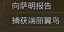 《怪物猎人：荒野》捕获端丽翼鸟攻略分享