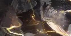 《吞噬星空黎明》手机配置推荐