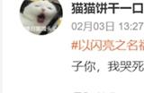 这波“白嫖”福利不拿血亏！《以闪亮之名》春节福利月机密速递