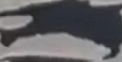 印度首都河面漂浮大量有毒泡沫：一眼望不到边