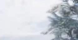 《最终幻想7：重生》前作特典展示：召唤兽利维坦