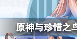 原神与珍惜之鸟的短暂邂逅怎么做  与珍惜之鸟的短暂邂逅任务流程