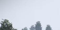 《颂钟长鸣》游戏干果和干蘑菇怎么获得