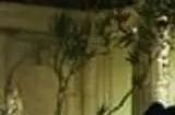 《堡垒之夜》或将迎来《细胞分裂》联动内容