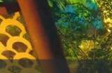《逆水寒手游》如何做到月入百万铜币 月入百万铜币方法详情