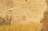 《怪物猎人：荒野》Steam预估销量100万份 国区占一半