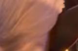 《博德之门3》哈罗德在哪里获得