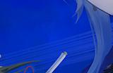 鹰角买断制RPG《来自星尘》发布游戏玩法介绍预告