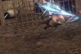 光荣特库摩公布《Fate/Samurai Remnant》“能力强化”影像